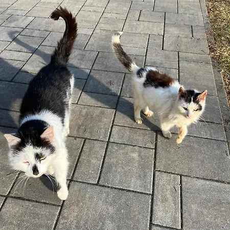 Venkovsky Odpocinek Appartamento Hroznetin