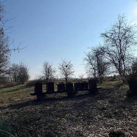Venkovsky Odpocinek * Hroznětín