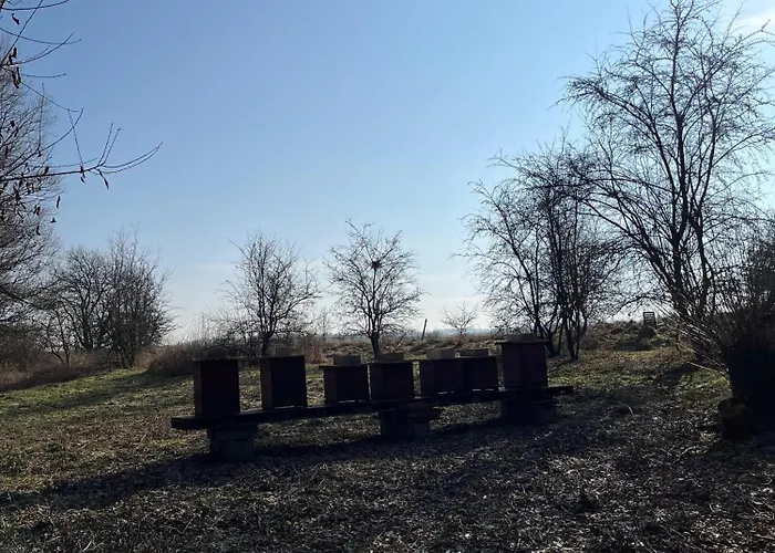 Venkovsky Odpocinek * Hroznětín